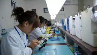 鉑爾汀 走進(jìn)源頭 鉑爾汀牙齒貼面工廠,見(jiàn)證美的誕生