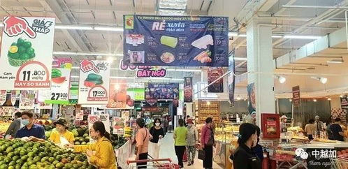 2020年越南商品零售和服務業(yè)收入約達5000萬億盾