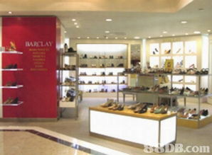 疊驥集團提供女裝皮鞋,男士皮鞋,皮鞋零售等產(chǎn)品