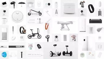 IPO破發(fā)后再大漲，關(guān)于小米雷軍沒有告訴你的那些事兒——珠寶首飾零售的啟示